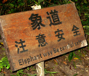 Strange English Signs along The California Native Yunan China Tours - Sign at Wild Elephant Preserve in Jing Hong Warning of Salty Trail